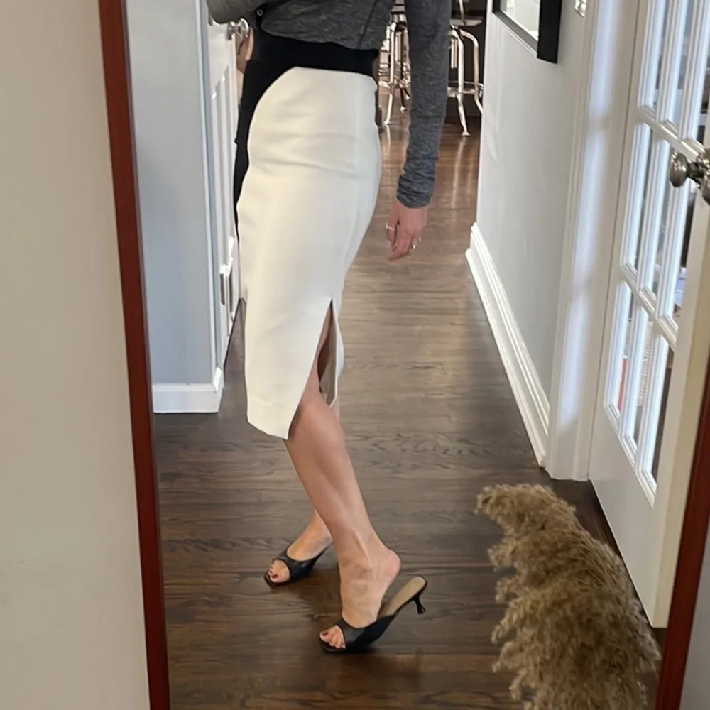 Milly Helix Mesh Skirt - Picture 4 of 15